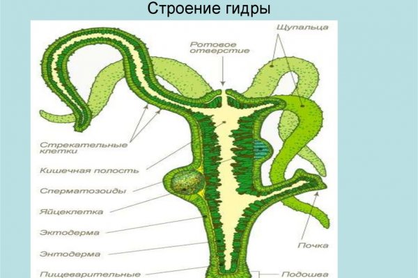 Кракен ссылка оригинал